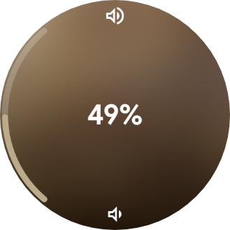 Volume overlay: warm album-toned ring