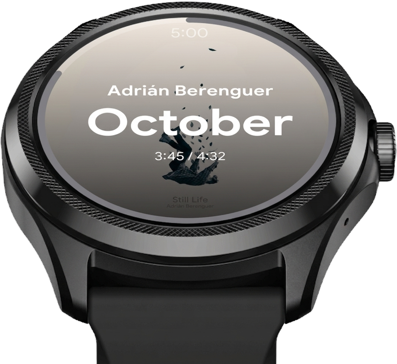 Svartifoss now-playing screen on a Wear OS watch